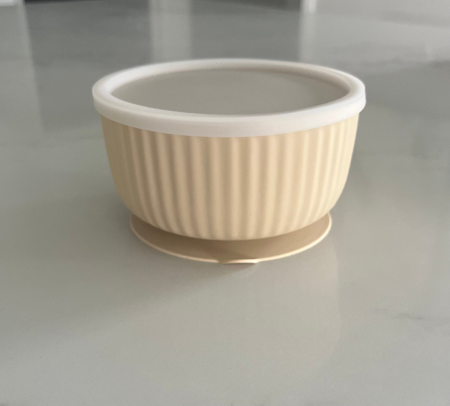 Silicone container with lid