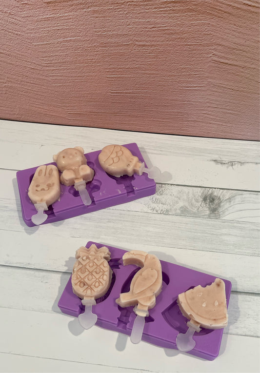 Kids Silicone Ice Block Mould
